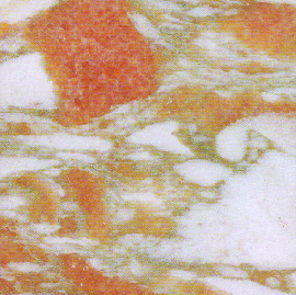 Rosa Norvegia Marble